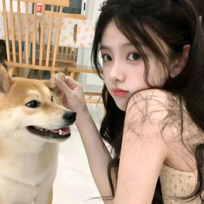 美丽的南方